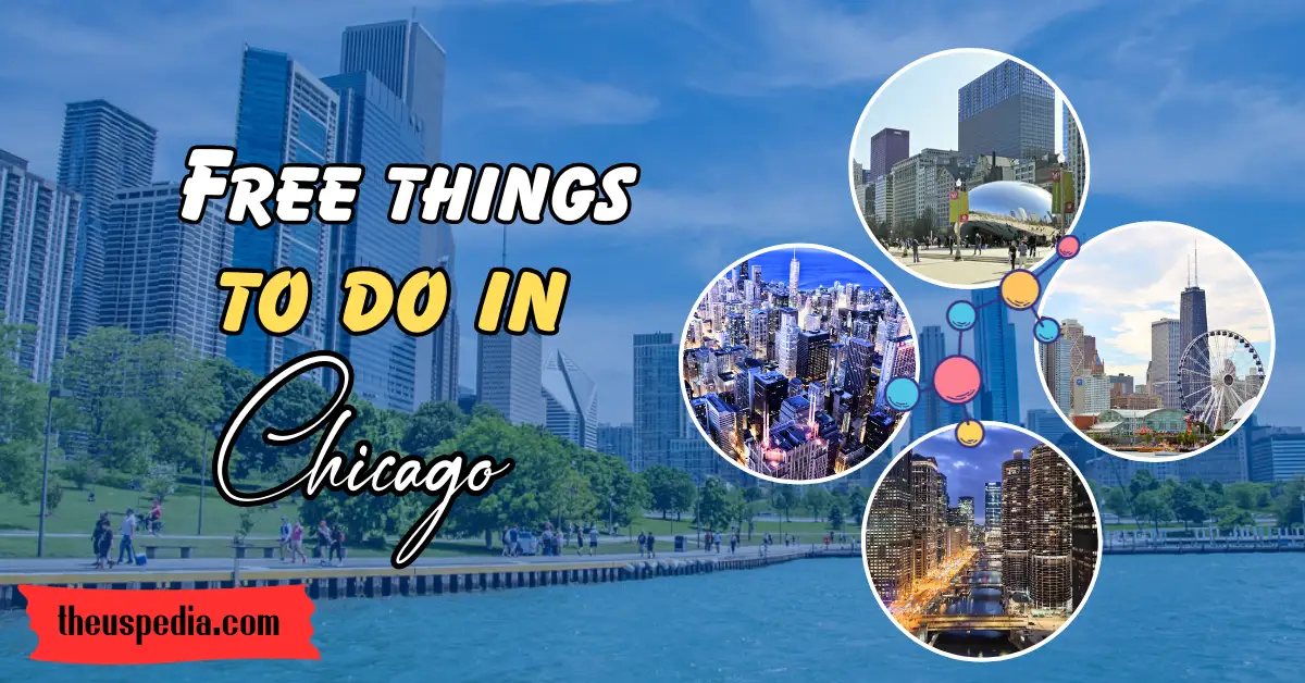 Best Free Things To Do In Chicago.webp